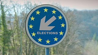 When the European elections tried to go viral