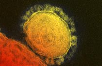 WHO says deadly MERS virus does not constitute global emergency