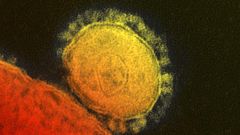 WHO says deadly MERS virus does not constitute global emergency