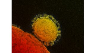 Premier cas mortel de coronavirus MERS en Iran