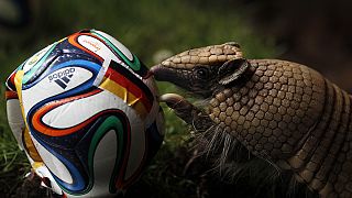 Un mois au Brésil : la Coupe pour ceux qui "sans foot"