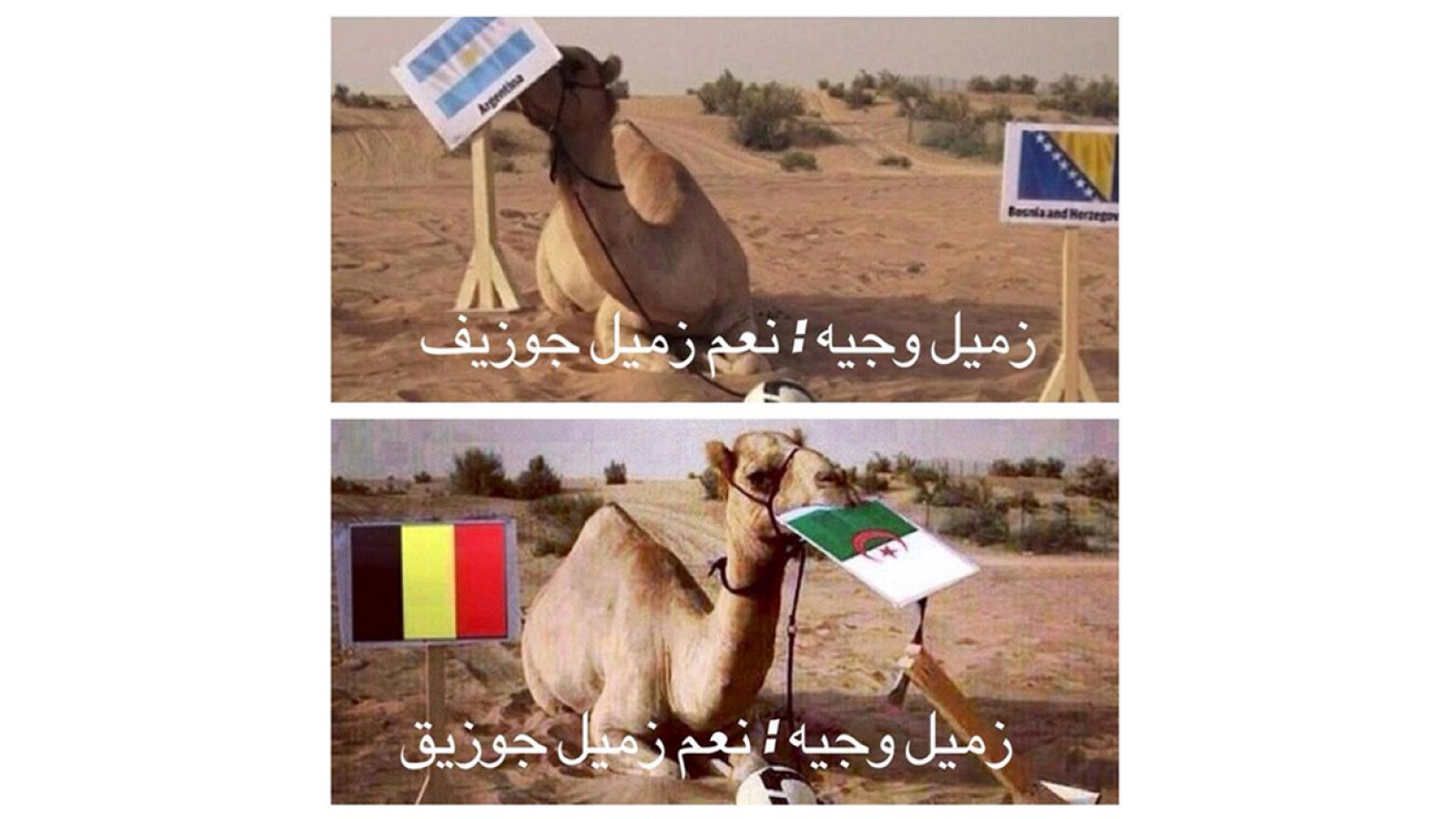 السوريون يتحدون الحرب والخوف من اجل متابعة المونديال
