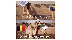 السوريون يتحدون الحرب والخوف من اجل متابعة المونديال