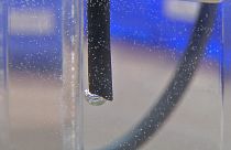 ''Ultimate Cell'': il futuro verde della mobilità