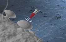 Fighting back against 'intelligent' drug-resistant bacteria