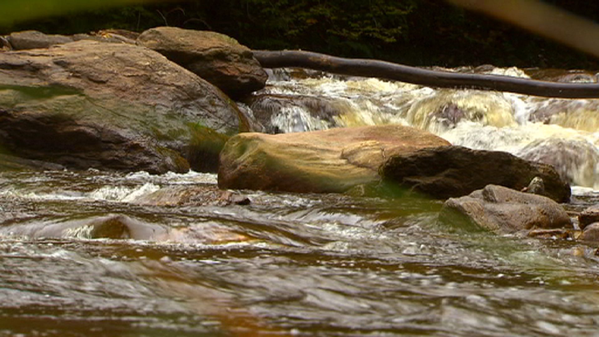 Do you know can water kill you? Euronews