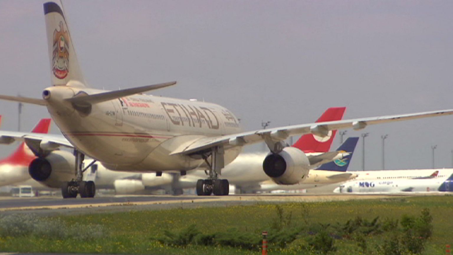Do you know: can trees move planes?