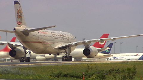 Do you know: can trees move planes?