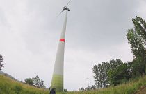 Power to the people with renewable energy cooperation