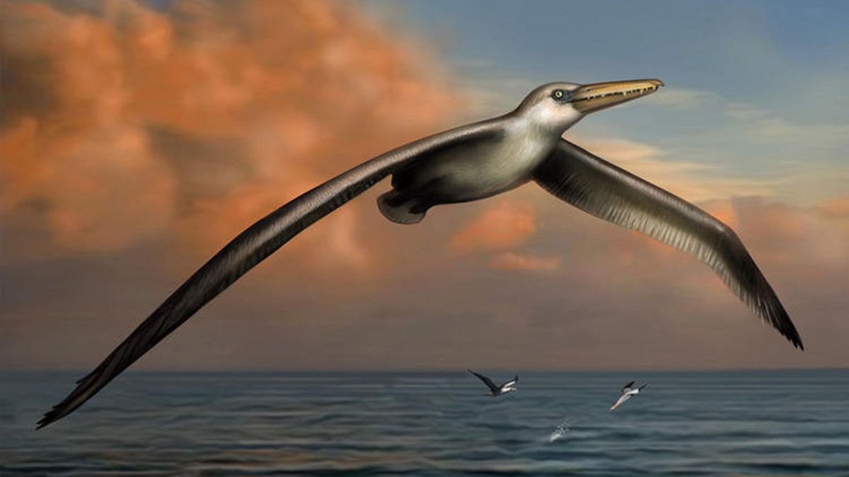 Ανακαλύφθηκε το μεγαλύτερο πουλί που έχει πετάξει ποτέ στη Γη!