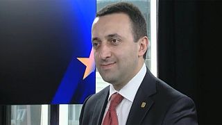 Georgian PM hails 'European dream'