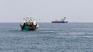 Pêche profonde : la position de la France "relève d'un véritable scandale"