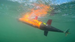Drones submarinos que examinan mares y ríos