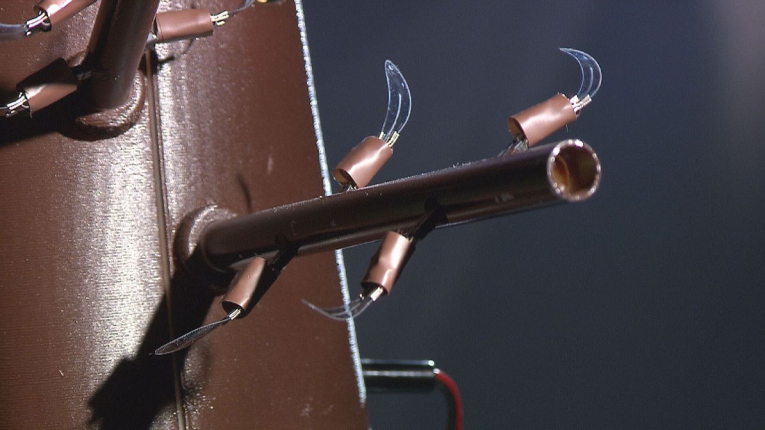 Des robots qui poussent comme des plantes ?