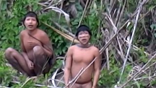 Brasile, un video mostra il primo contatto con una tribù isolata della giungla amazzonica