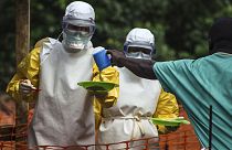 Ebola experts call for experimental drugs to be used to fight virus