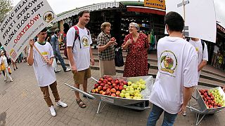 Польша пытается спасти "яблочный" рынок