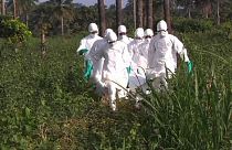 MSF calls on UN and West to get involved in Ebola epidemic