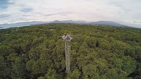Breathing forest: assessing climate change impact on Earth's lungs