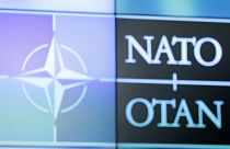 NATO-Botschafter Gruschko: "Es gibt keine Truppenbewegungen Russlands"