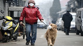 Changement climatique : 250 000 victimes supplémentaires entre 2030 et 2050