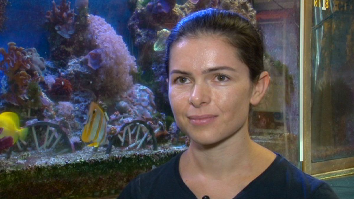 Stéphanie Orengo : au musée océanographique, "on ne s'ennuie jamais"