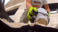 Do you know: can bacteria build houses?
