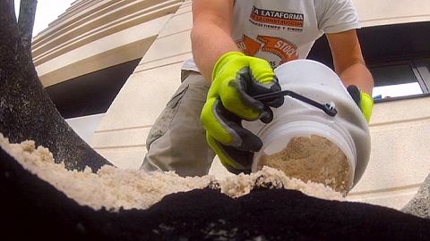 Do you know: can bacteria build houses?