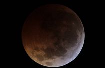 Eclissi totale di Luna l'8 ottobre