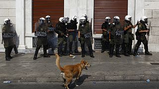 Loukanikos, Greece's iconic 'riot dog', dies