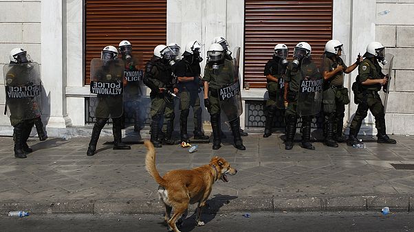 Muere Loukanikos, el "perro manifestante" griego Muere Loukanikos, el "perro manifestante" griego