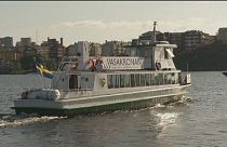 Нові дива: електропором і горщик, що сам нагрівається