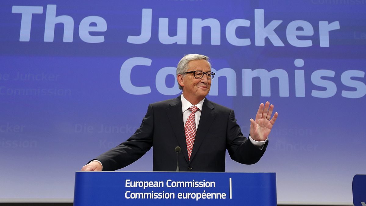 "Die EU-Kommission sollte es gar nicht geben!"