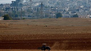 [Vídeo] Trabajando la tierra entre las bombas de Kobani