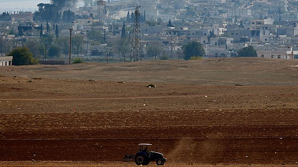 Von Bomben unbeeindruckt - ein Bauer in der Türkei Von Bomben unbeeindruckt - ein Bauer in der Türkei