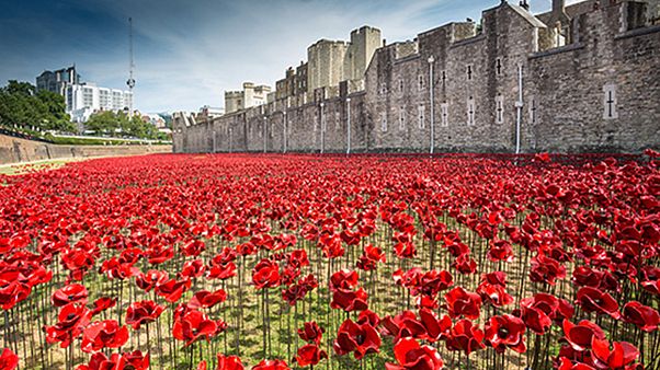 Tower of London in einem Meer aus rotem Mohn Tower of London in einem Meer aus rotem Mohn
