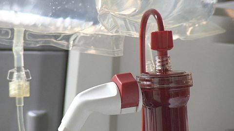 Do you know: can we boost injured livers?