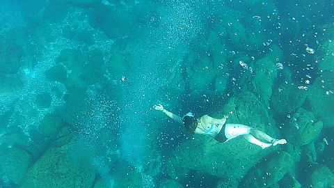 Watching for bubbles: storing CO2 at sea