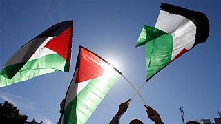 النواب الفرنسيون سيصوتون على نص يطالب بالاعتراف بدولة فلسطين في 28 الجاري