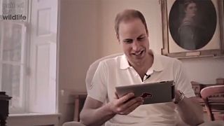 Ο Πρίγκιπας Ουίλιαμ παίζει Angry Birds για καλό σκοπό – Βίντεο