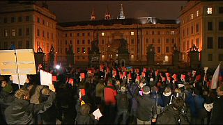 Demonstranten fordern Rücktritt Zemans