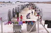 Aministia Internacional denuncia maus tratos a refugiados sírios na Turquia