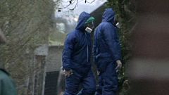 Hollandia: újra madárinfluenza