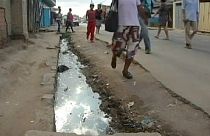 منظمة الصحة العالمية تحذر من مخاطر الانتشار السريع الطاعون في مدغشقر