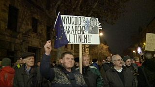 Hungarians protest as the government moves against private pension schemes