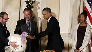 Thanksgiving turkey pardoned by president