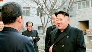Kuzey Kore liderinin kardeşi yönetici oldu