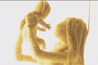 Rock band James face death in latest album