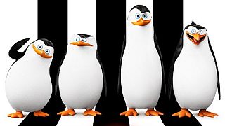 Endlich sind die Pinguine die Stars!