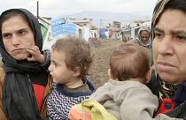 Без помощи ООН сирийским беженцам грозит голод